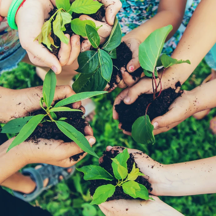 Nuova Iniziativa di Educazione Ambientale per la Gestione dei Rifiuti