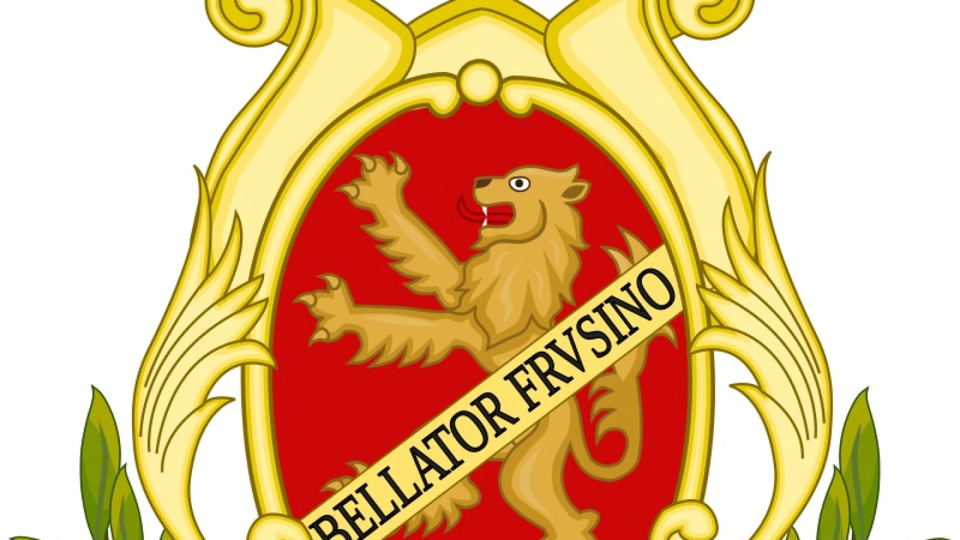 Comune di Frosinone - Ritiro ingombranti