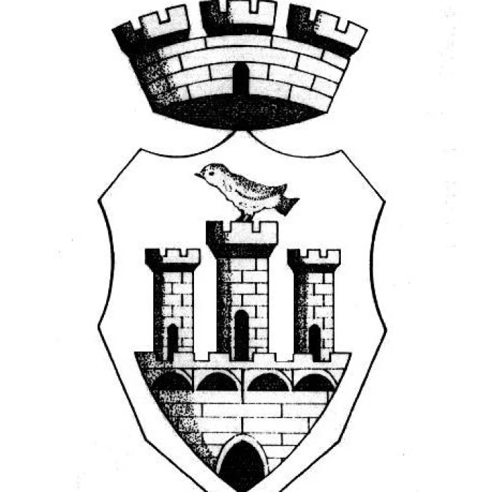 Comune di Pico - Sospensione raccolta