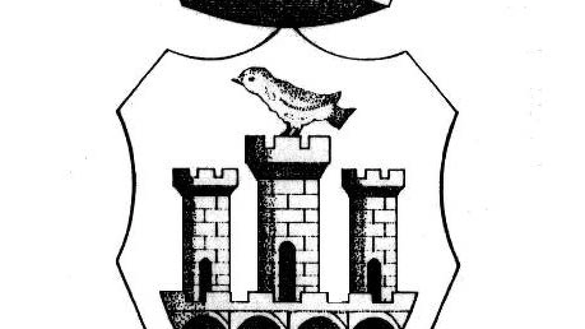 Comune di Pico - Sospensione raccolta